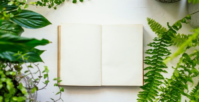 Book and plants